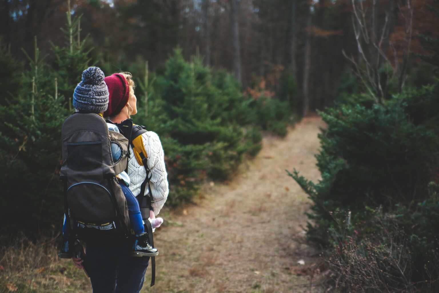 Eine Frau mit roter Mütze trägt ein Kind in einer Rucksacktrage, während sie auf einem Pfad durch einen mit immergrünen Bäumen gesäumten Wald geht. Beide sind warm gekleidet, und die Szene ist friedlich und natürlich.