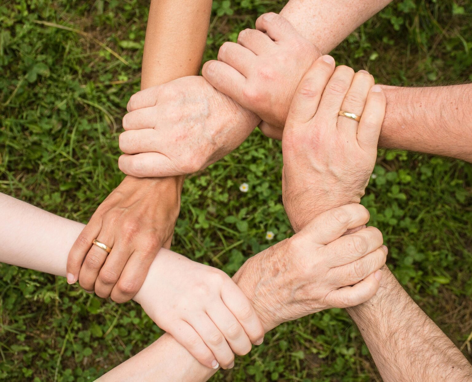 Sechs Hände unterschiedlicher Hautfarbe umschließen die Handgelenke der anderen in einem Kreis, der Einigkeit und Teamarbeit symbolisiert, mit grünem Gras im Hintergrund.
