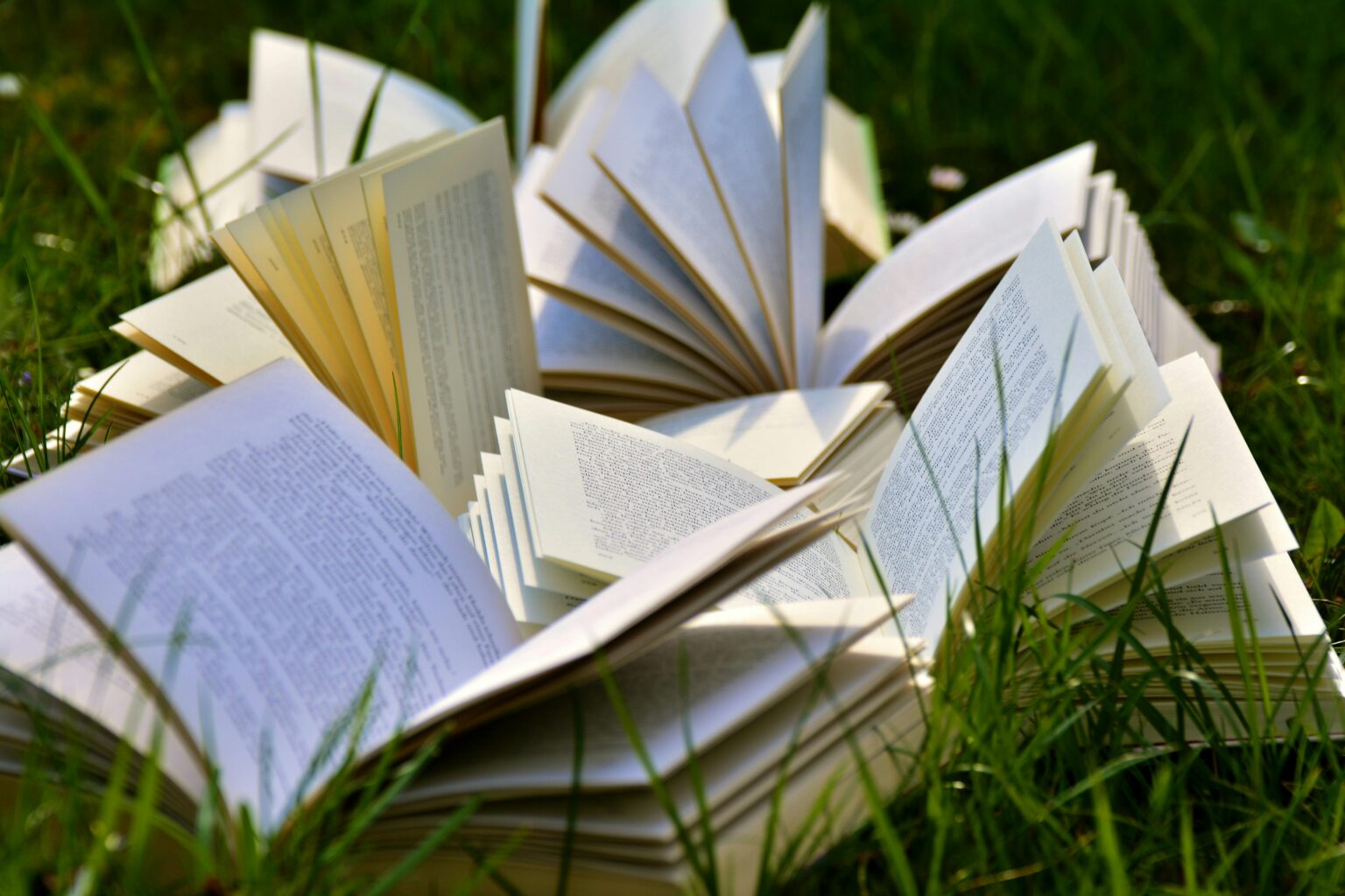 Mehrere aufgeschlagene Bücher mit aufgefächerten Seiten liegen im Freien auf grünem Gras und werden vom Sonnenlicht beleuchtet.