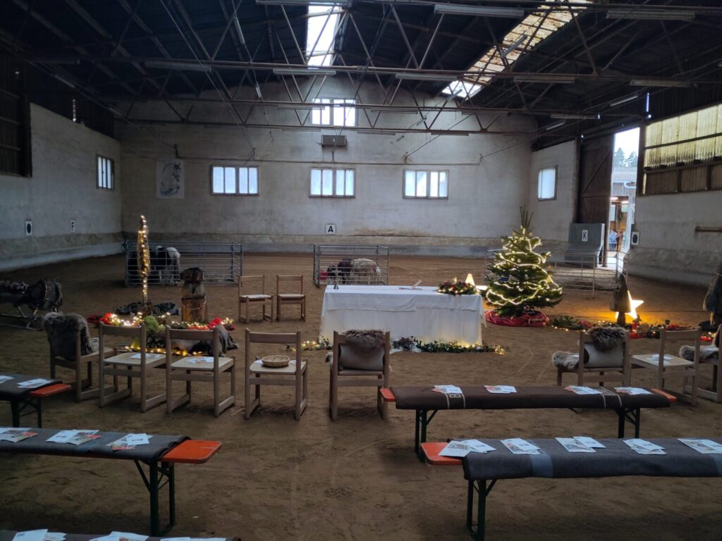 Für eine Veranstaltung eingerichtete Reithalle mit geschmückten Stühlen, Bänken, einem Tisch, einem beleuchteten Weihnachtsbaum und festlichen Lichtern; die Pferde sind in den hinteren Boxen zu sehen.