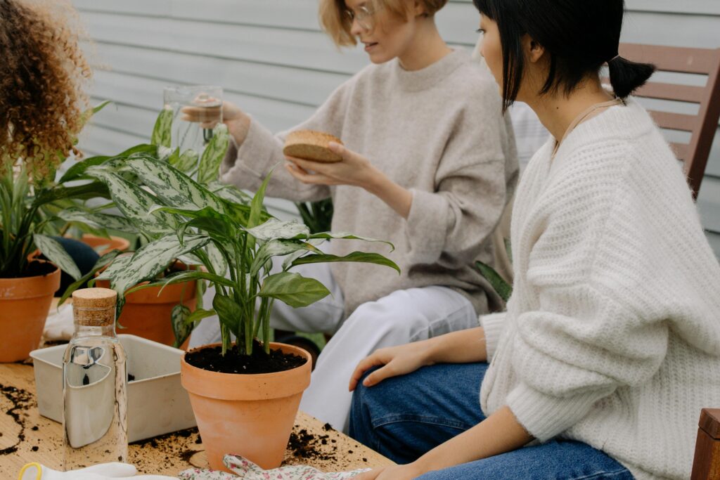 Drei Personen sitzen um einen Tisch im Freien und pflanzen in gemütlichen Pullovern Grünpflanzen in Terrakotta-Töpfe, auf denen Erde verstreut ist.