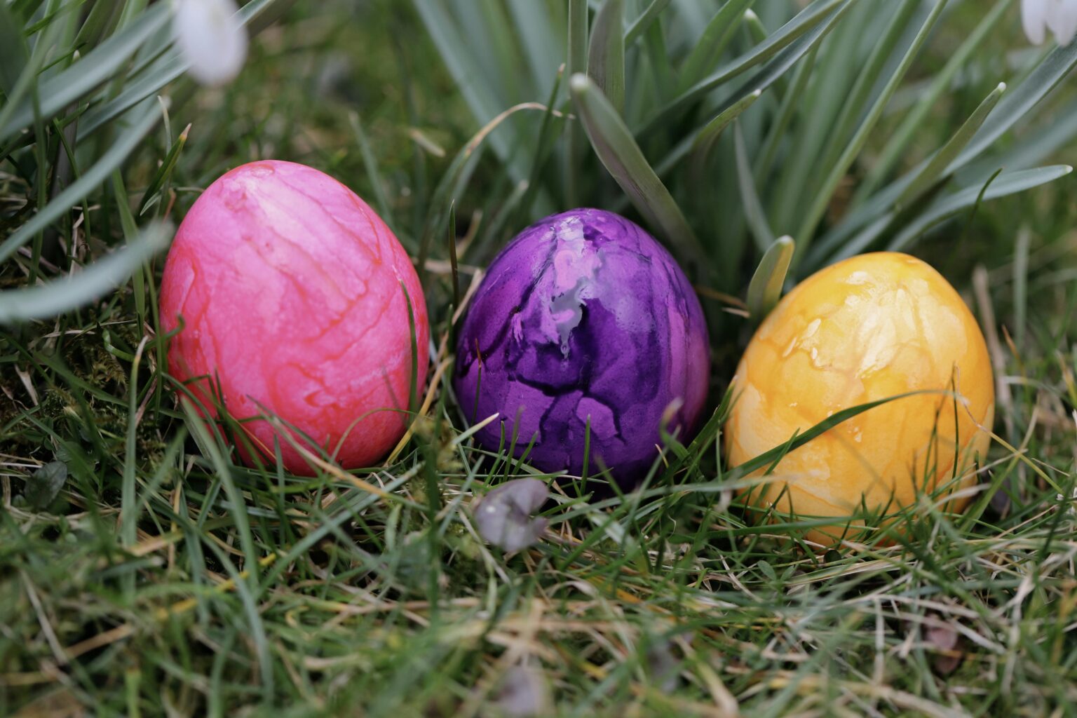 Drei bunte Ostereier - rosa, lila und gelb - liegen auf grünem Gras zwischen hohen Blättern.