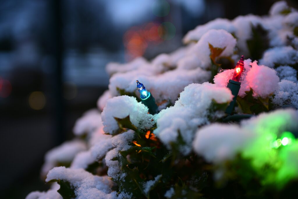 Schneebedeckter Strauch mit bunten Lichtern, darunter blaue, rote und grüne Glühbirnen, die eine festliche Winterszene im Weichzeichner erzeugen.